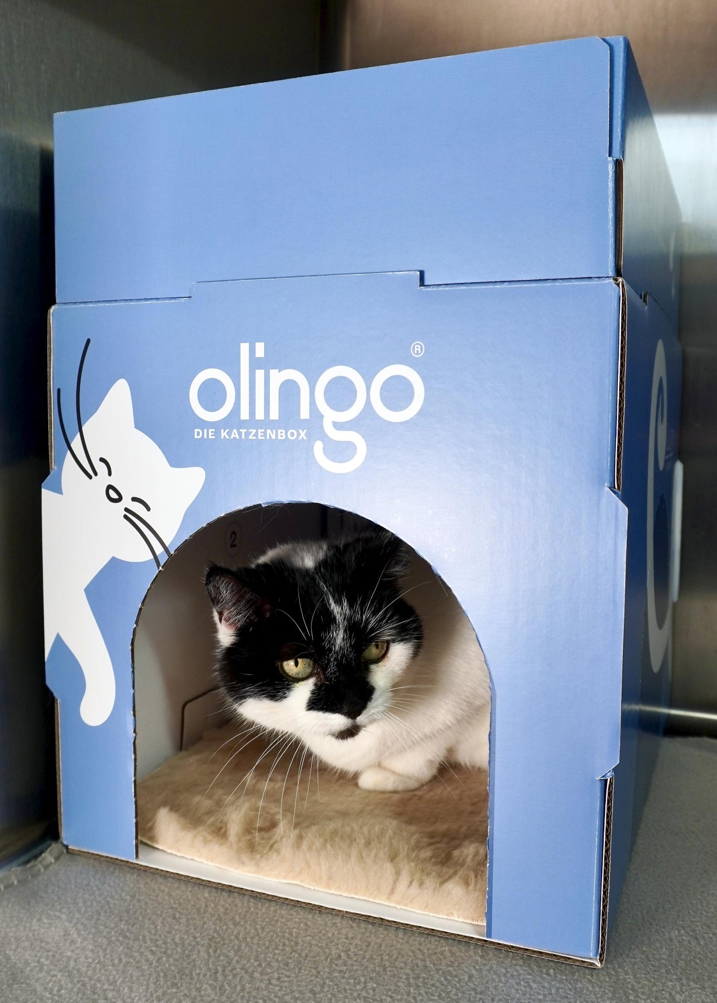 Olingo Katzenbox mit Rahmen mit schwarz-weißer Katze in Stationskäfig