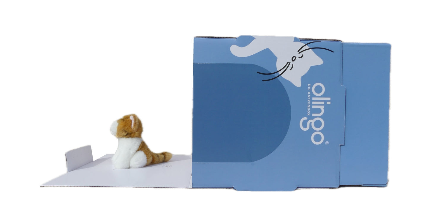 Olingo Katzenbox mit Rahmen ganz gekippt mit Kuscheltierkatze
