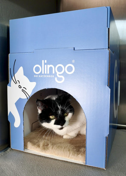 Olingo Katzenbox mit Rahmen mit schwarz-weißer  Katze in Stationskäfig